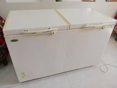 Double Door Freezer