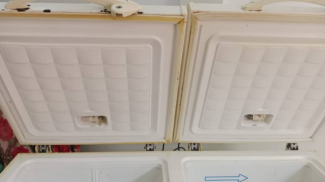 Double Door Freezer 1