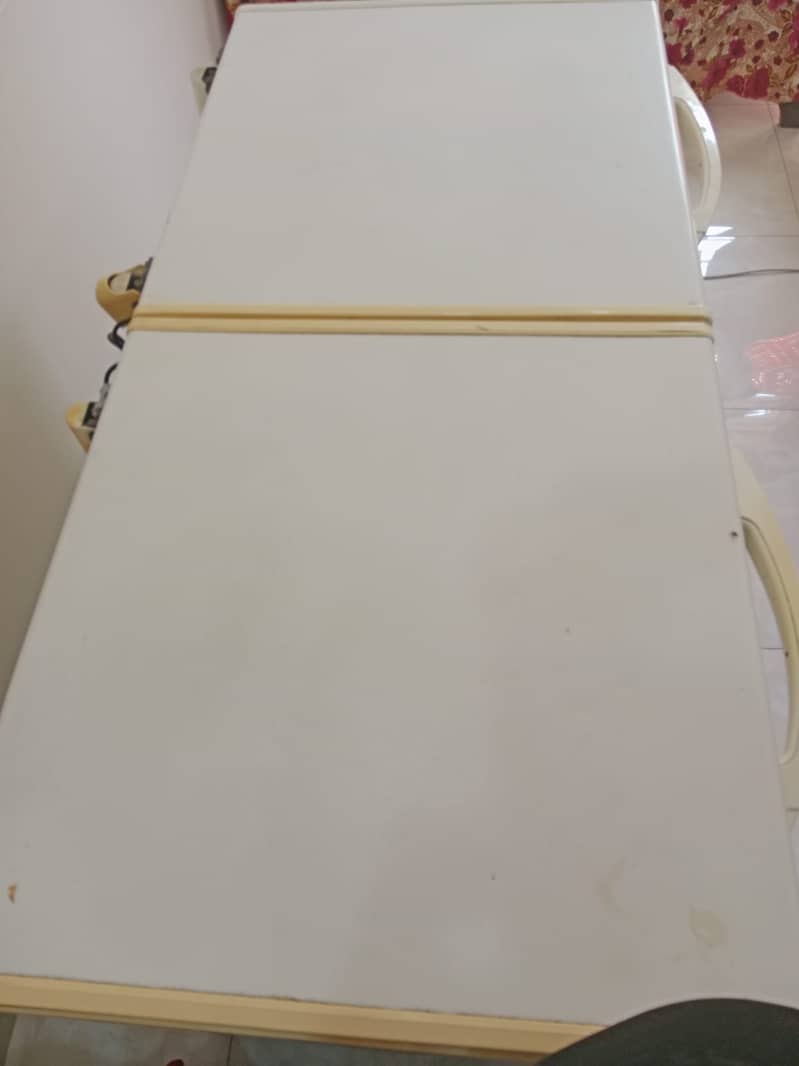 Double Door Freezer 4
