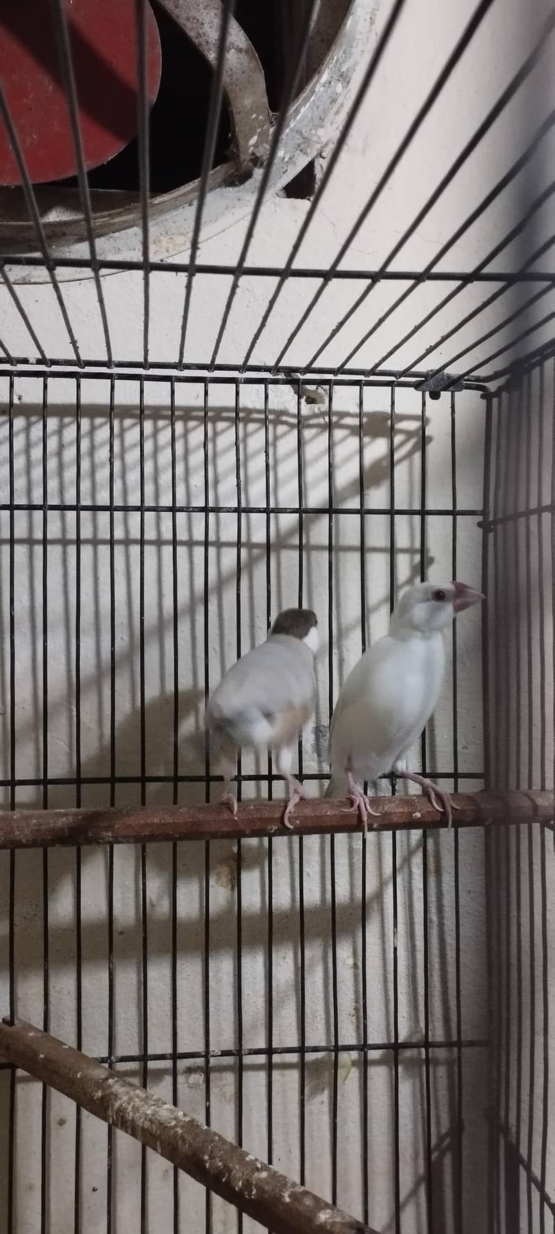 java pair 1