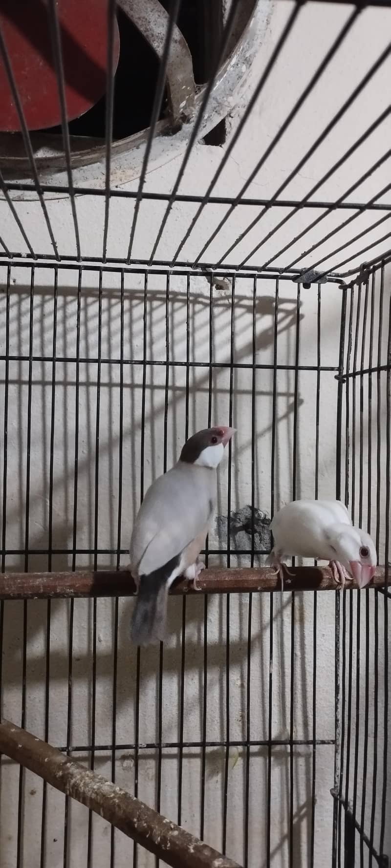 java pair 2