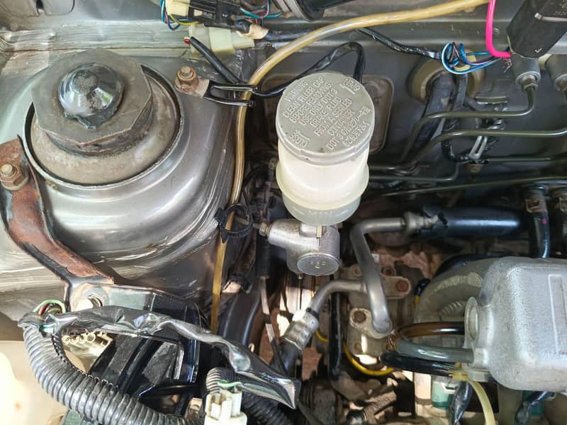 mehran 2015 6