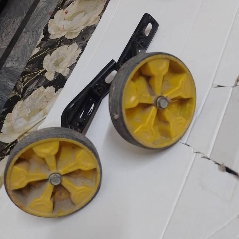 cycle side wheel 1