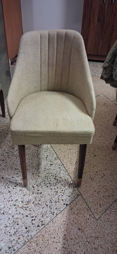Dining Chair