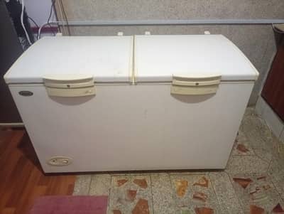 Waves 2 Door Deep freezer