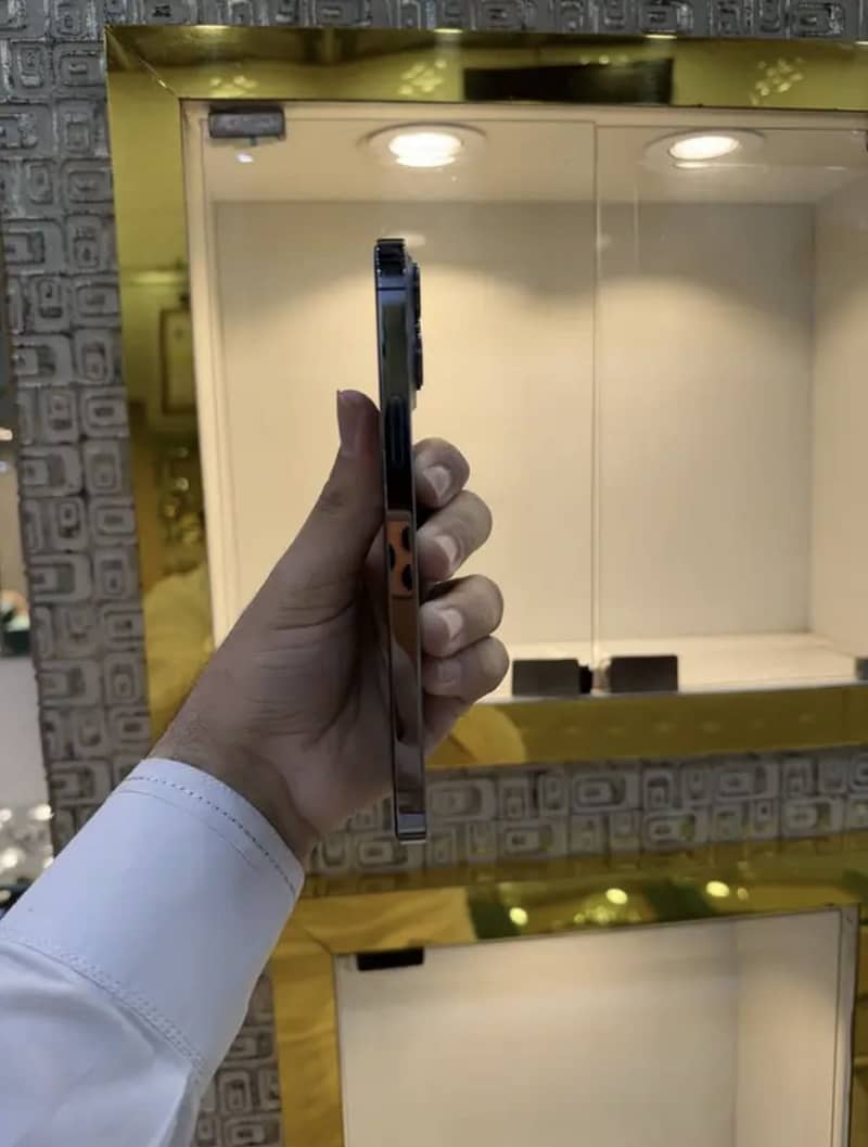 Iphone 13 pro max 1