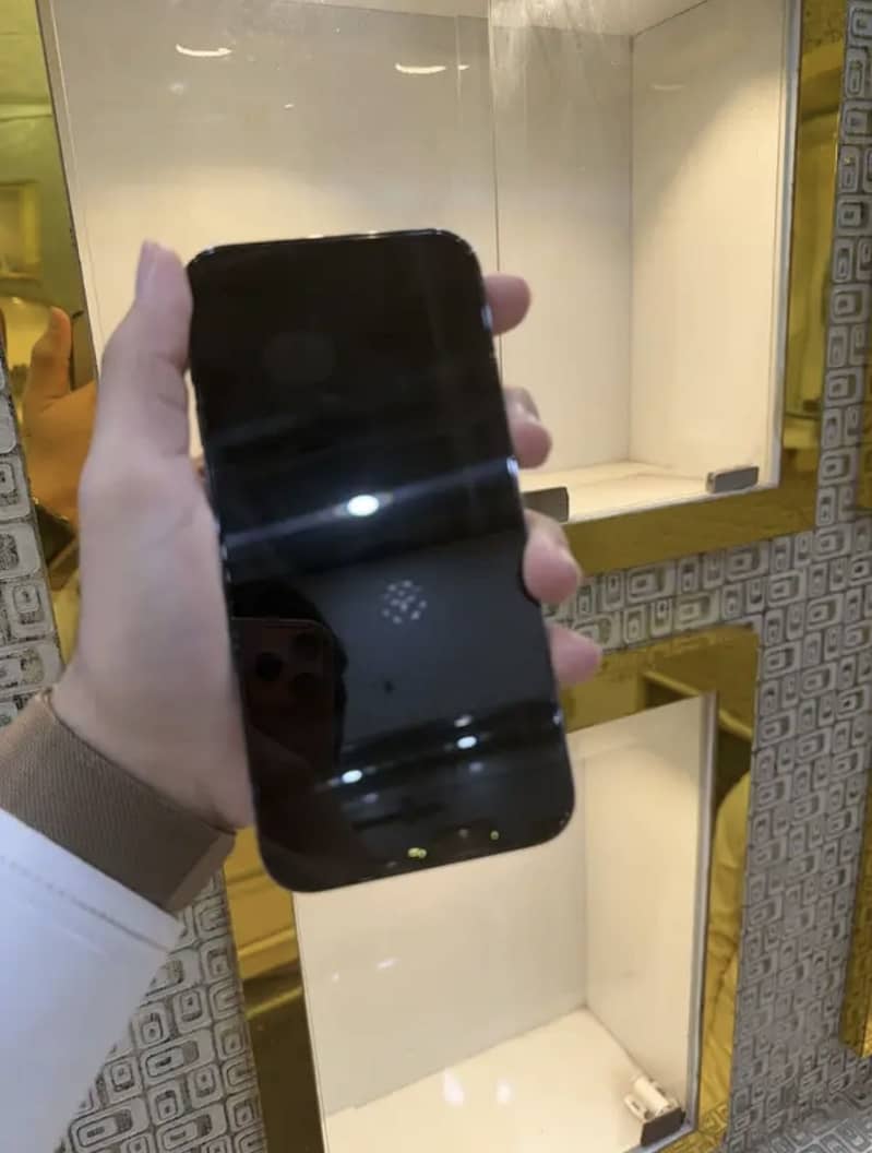 Iphone 13 pro max 3