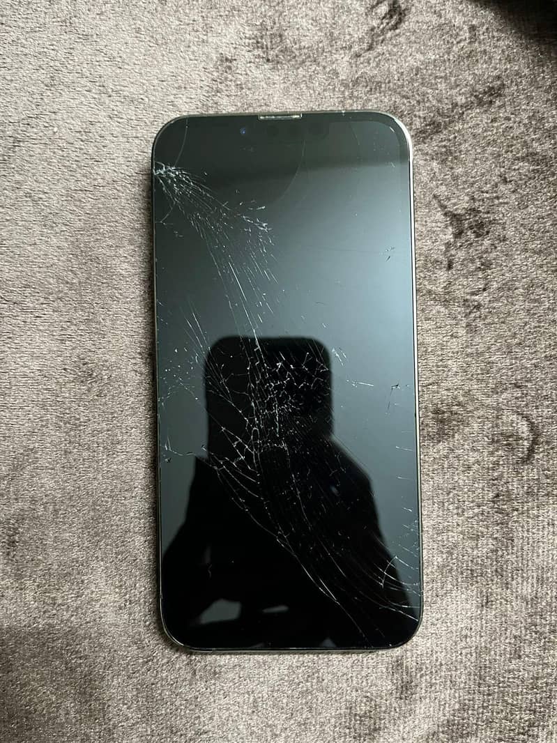 iphone 13 pro 1