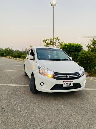 Suzuki caltus vxl 2019