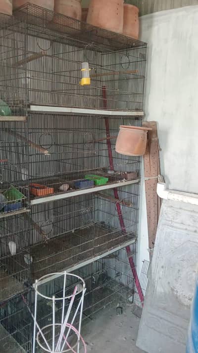 birds master cage for sale