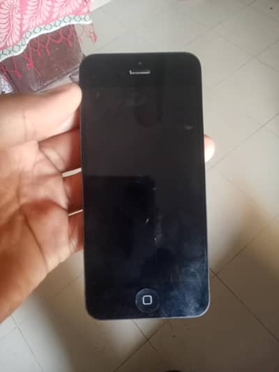 iPhone 5c original Panel