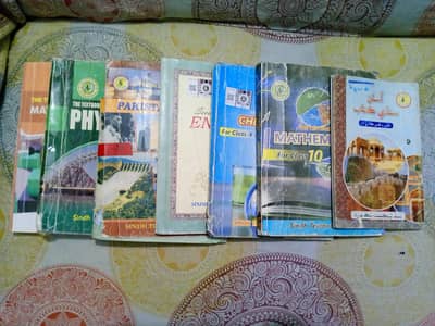 10 class complete course (all books+all quides+ten years)