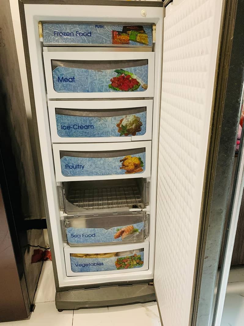 Vertical Freezer 1