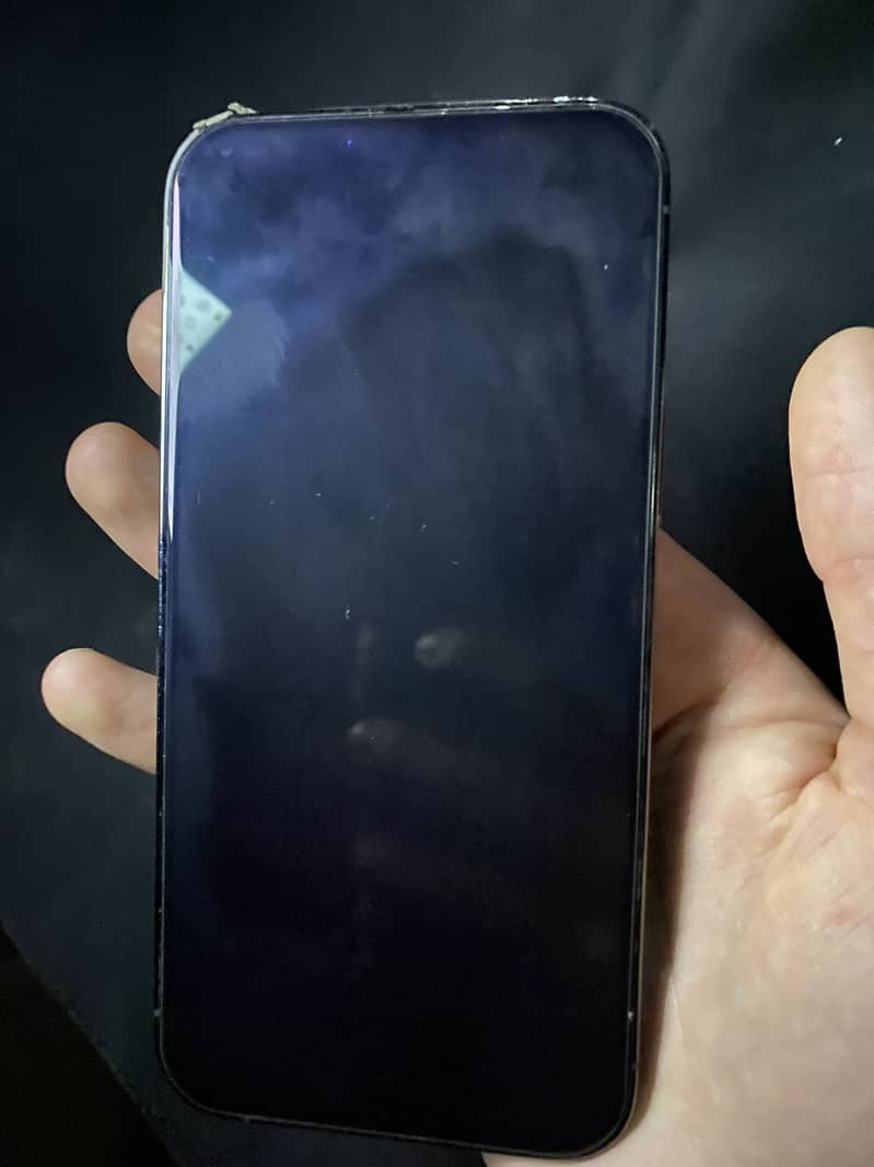 iPhone 13 Pro Max 1