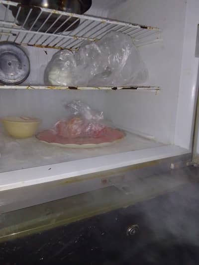 pel refrigerator