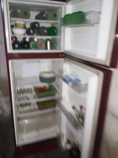 *PEL 2 Door Refrigerator - Good Condition, Working 100%* Working 1