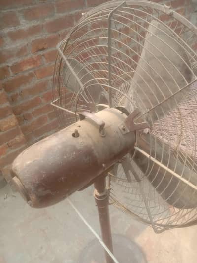 Pedestal Fan