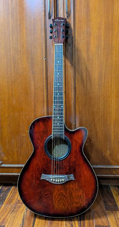 CARAYA Semi-Acoutic Professional Guitar with Bag