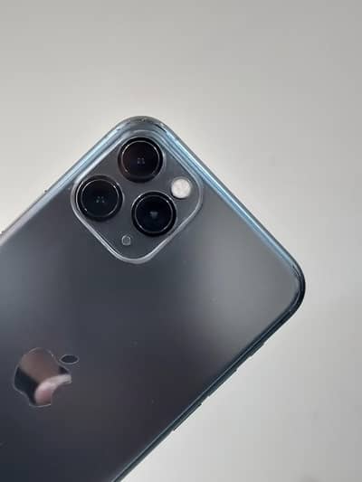 iPhone 11 pro waterpack