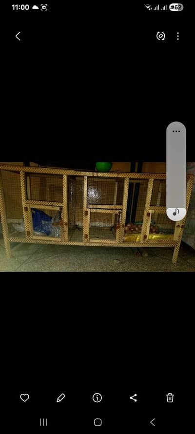 cage Urgently sell