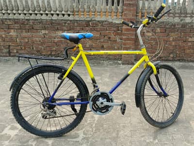 High Quality Phoenex Bicycle
