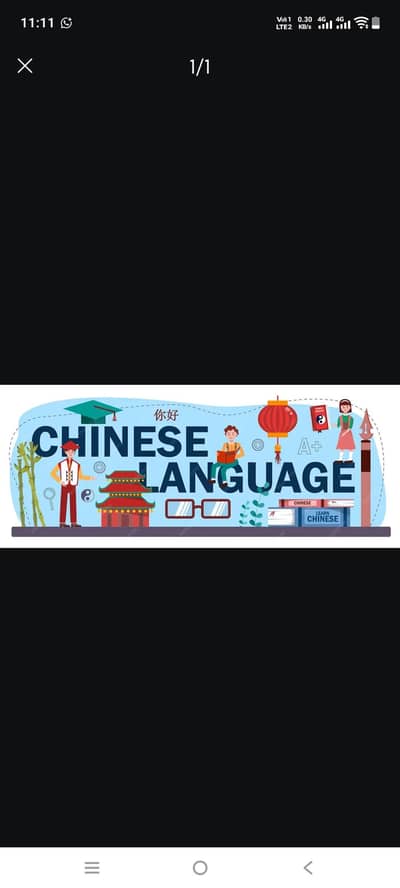 Chinese language Teacher Available