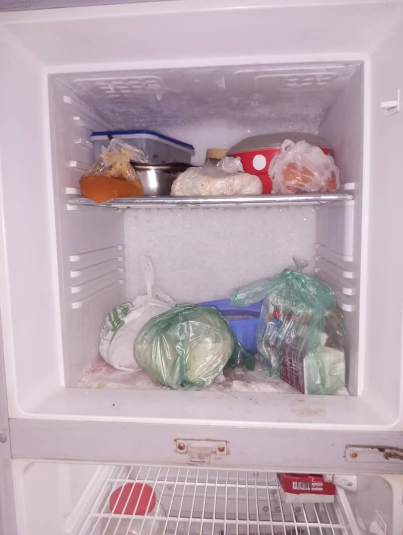 fridge 1