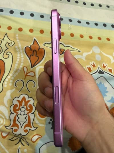16 plus pink