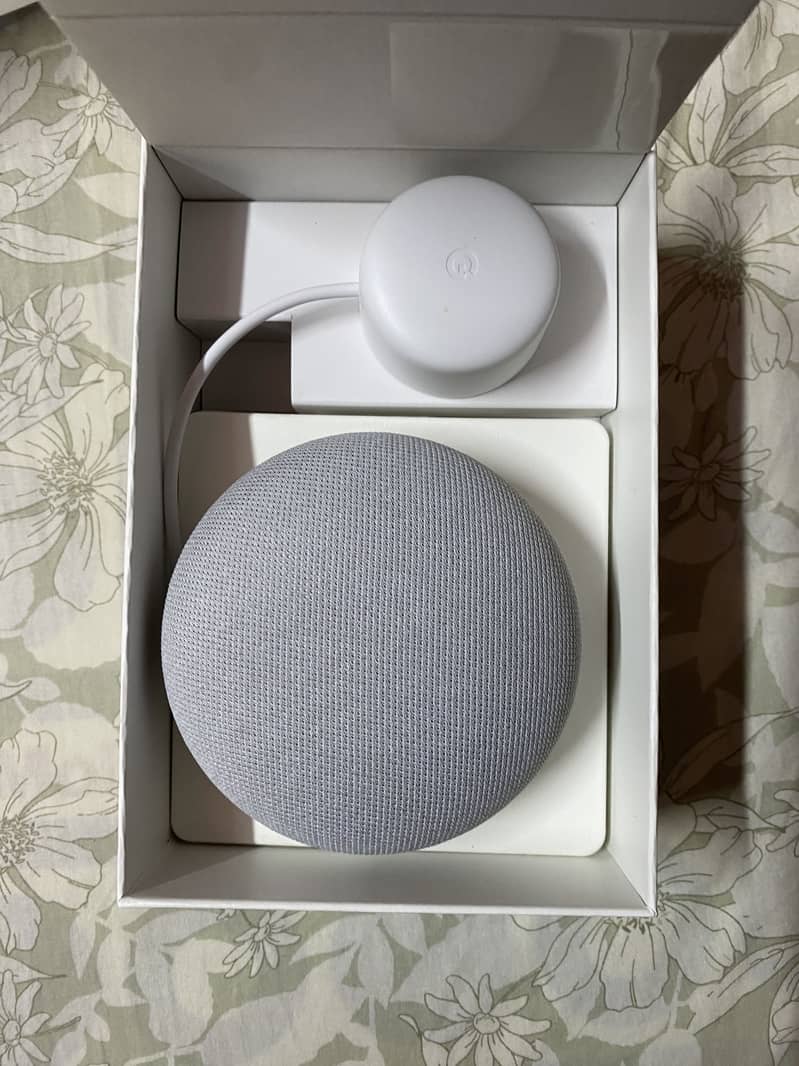 Google Nest mini 2nd generation 2