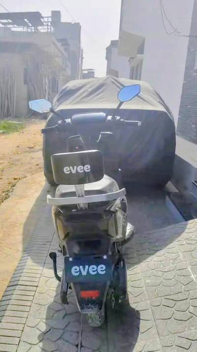 evee genz