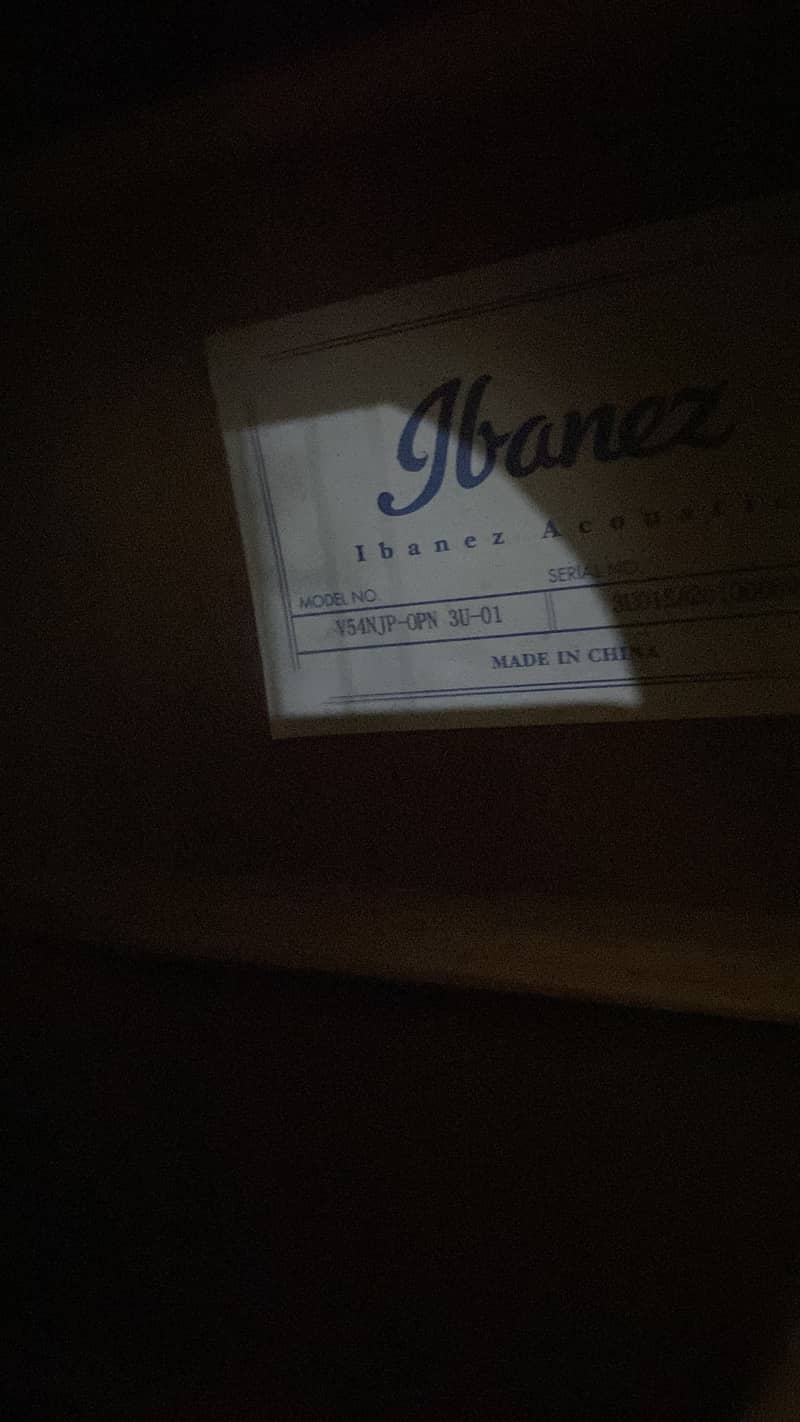 Ibanez 1