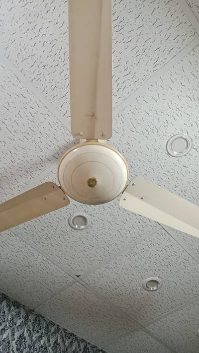 Asia fan / ceiling fan / copper fan / pak fan / fan  /