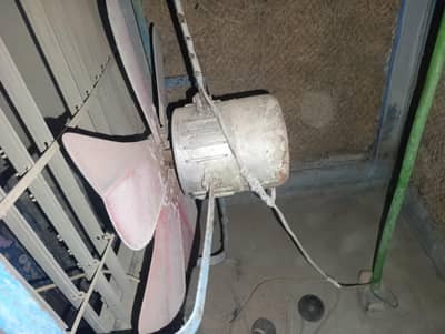 Air cooler big size