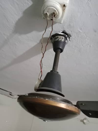 Ceiling fans