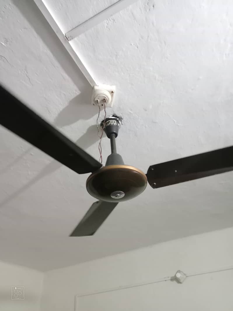 Ceiling fans 1