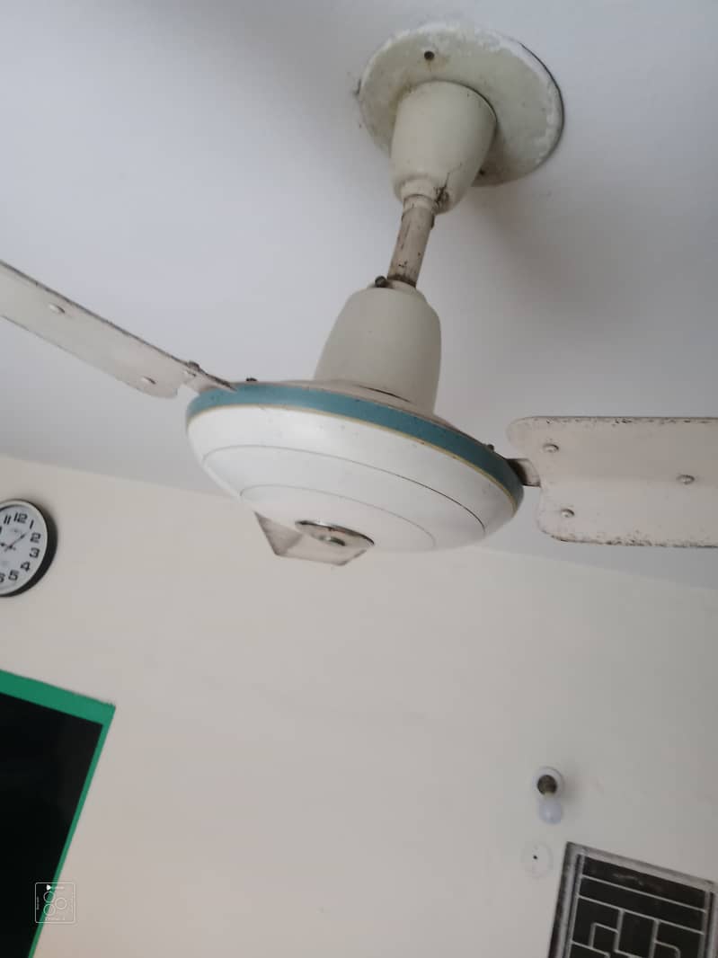 Ceiling fans 2