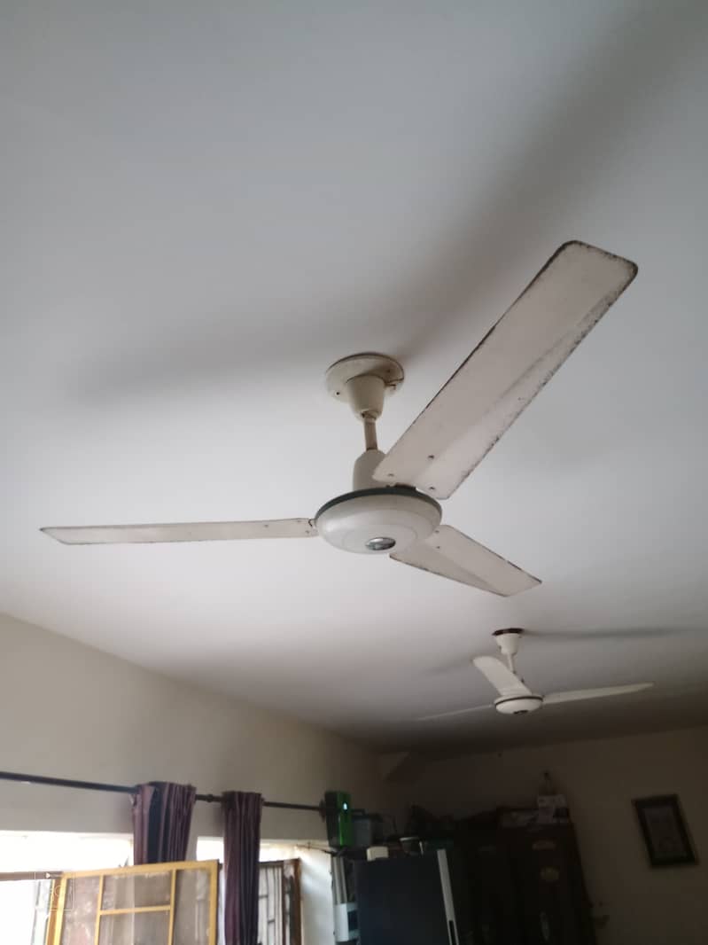 Ceiling fans 3