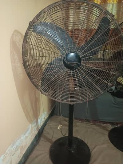 pedistal fan
