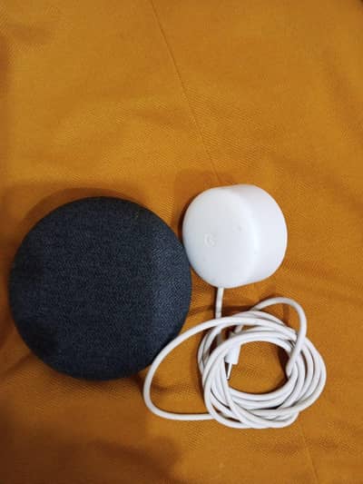 Google Nest Mini 2nd Gen