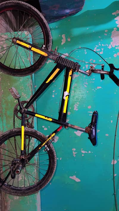 Medium kids Cycle