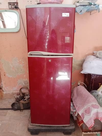 National freezer
