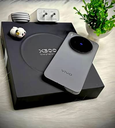 Vivo X300