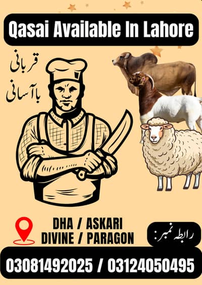 Qasai Available in Lahore
