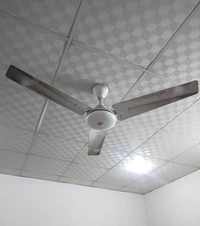 Indus fan
