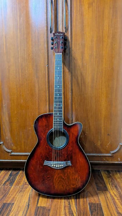 CARAYA Semi-Acoutic Professional Guitar with Bag