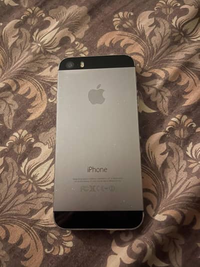 iPhone 5s