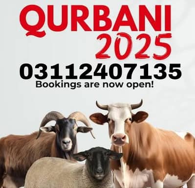 qasai available Karachi malir