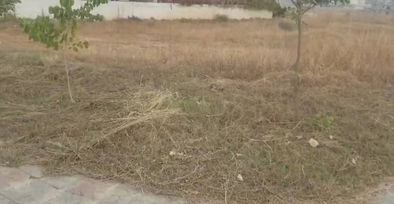 Premium Plot Sector C Solid Land 1