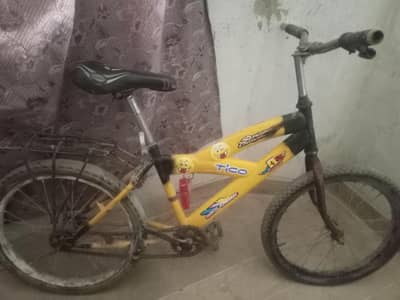 cycle