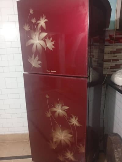 Glass refrigerator